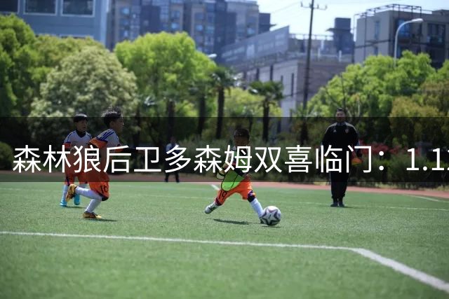 森林狼后卫多森姆双喜临门：1.12亿顶薪续约后求婚成功